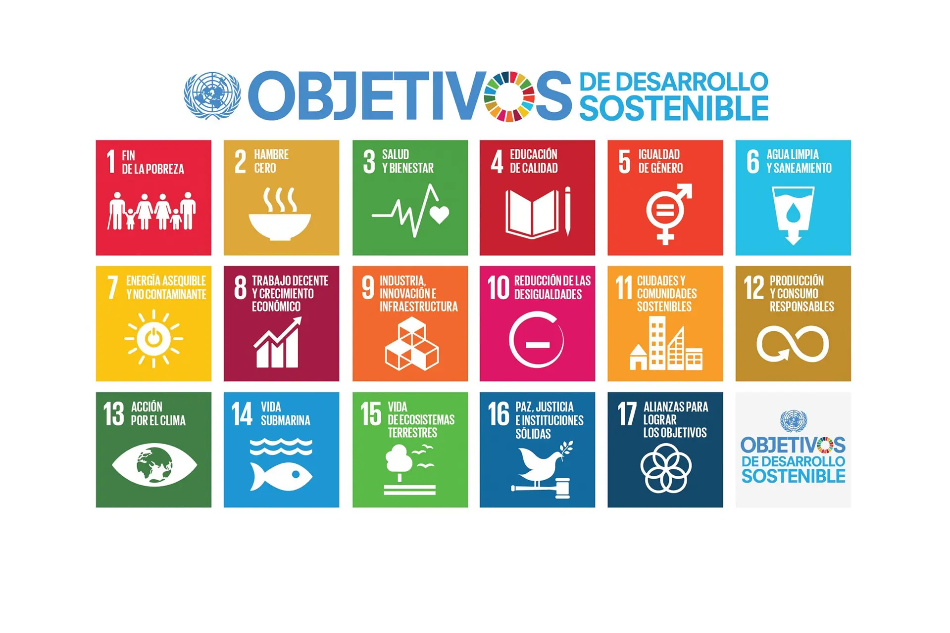 cinema planeta, objetivos de desarrollo sustentable, ods, 2024